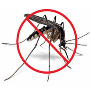 Dengue Control